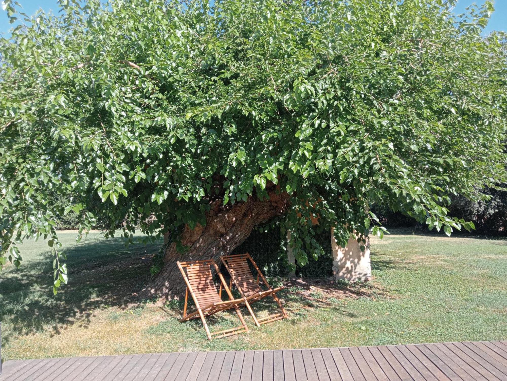 فندق Maison022 ليسي المظهر الخارجي الصورة